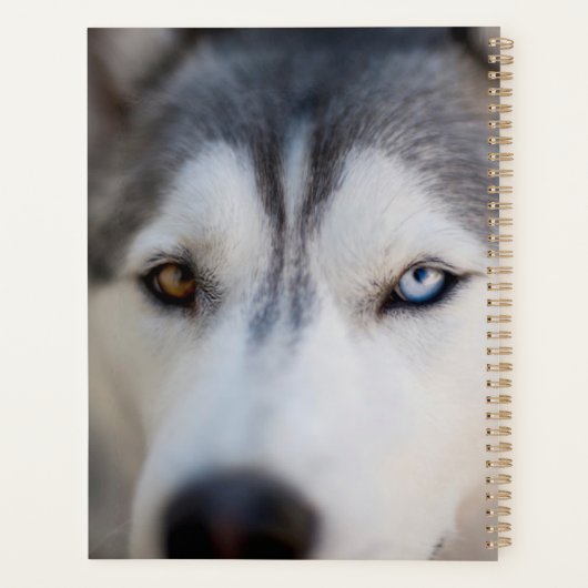Stoic Gaze van de Alaskan Malamute Planner (Achterkant)