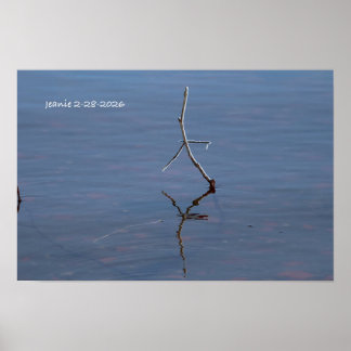 Stok in het water poster