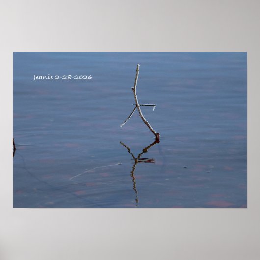 Stok in het water poster (Voorkant)