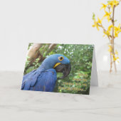 Stok uit uw tong kaart (Gele Bloem)