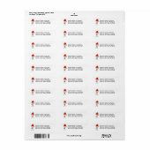 Stokfiguur Skydiven Etiket (Full Sheet)