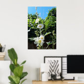 Stokrozen bloeien, Alcea Alba Poster (Thuiskantoor)