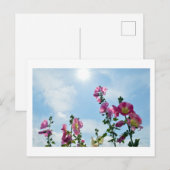 Stokrozen: Japan Briefkaart (Voorkant / Achterkant)