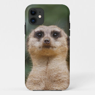 Stokstaartje 001 Case-Mate iPhone case