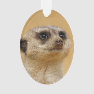 Stokstaartje 2014-1101 ornament