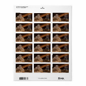 Stokstaartje adressticker etiket (Full Sheet)