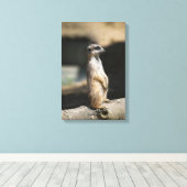 Stokstaartje Canvas Afdruk (Insitu (Houten vloer))
