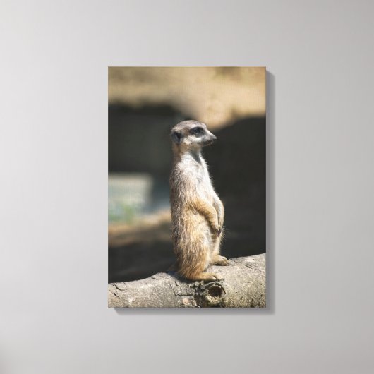 Stokstaartje Canvas Afdruk (Voorkant)