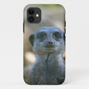 Stokstaartje iPhone 11 Hoesje