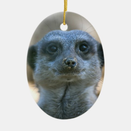 Stokstaartje Keramisch Ornament (Voorkant)