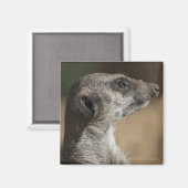 Stokstaartje Magneet (Voorkant / Achterkant)
