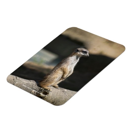 Stokstaartje Magneet (Linkerzijde)