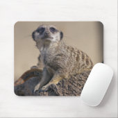 Stokstaartje muismat (Met muis)