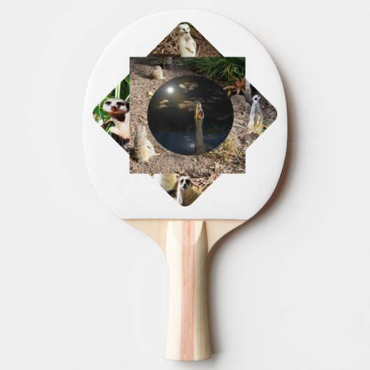 Stokstaartje Polyscope,  Tafeltennisbatje (Voorkant)