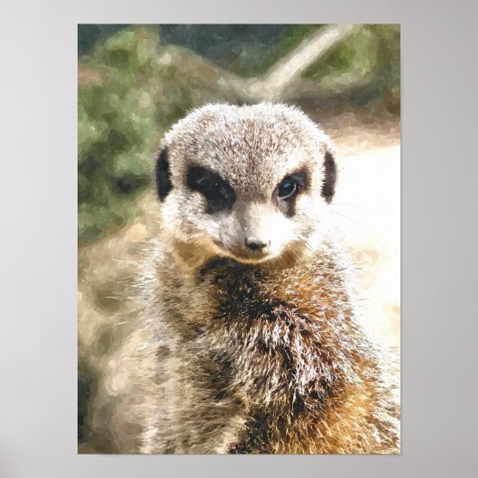 STOKSTAARTJE POSTER (Voorkant)