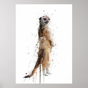 Stokstaartje Poster