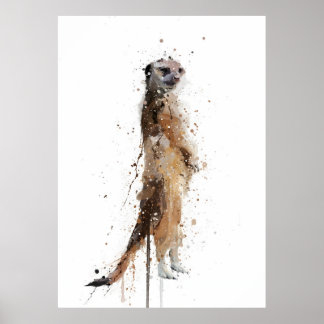 Stokstaartje Poster