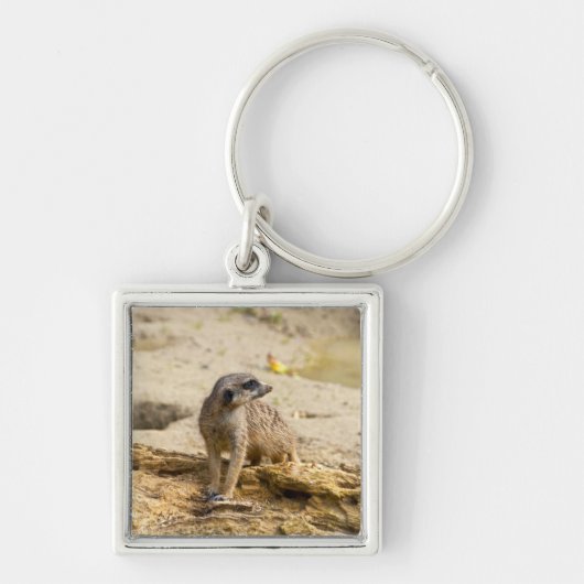 Stokstaartje Sleutelhanger (Voorkant)