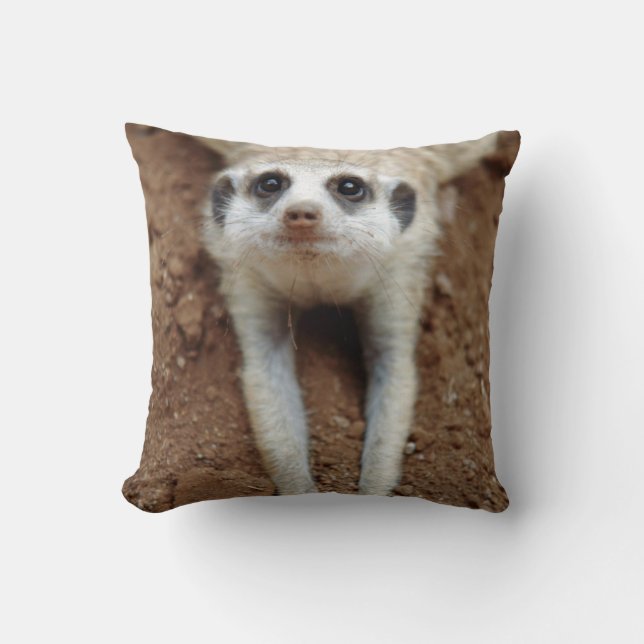 Stokstaartje (Suricata Suricatta) Afkoelen Kussen (Voorkant)
