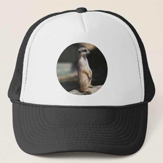 Stokstaartje Trucker Pet (Voorkant)