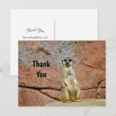 Stokstaartje Wilde Natuur Foto Bedankt Briefkaart (Voorkant / Achterkant)