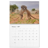Stokstaartjongen van de KMP 2026 Kalender (Feb 2027)