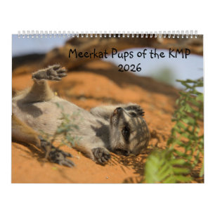 Stokstaartjongen van de KMP 2026 Kalender