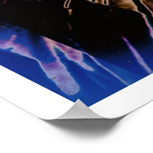 Stolen Liberty Poster (Hoek)