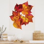 Stolk's Carpente Poster (Keuken)