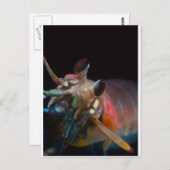 Stomatopod (Mantis-garnaal) Briefkaart (Voorkant / Achterkant)