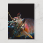Stomatopod (Mantis-garnaal) Briefkaart (Voorkant)