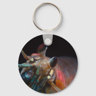 Stomatopod (Mantis-garnaal) Sleutelhanger