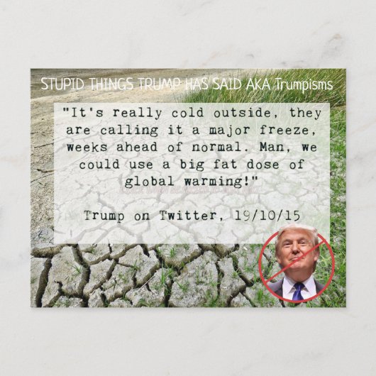 Stomme Dingen Trump zei Briefkaart Souvenir (Voorkant)