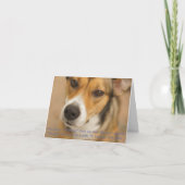 Stomme Dingen zeggen wij -1- Kaart (Voorkant)