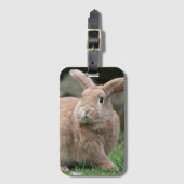 Stomme ginger bunny met grote oren bagagelabel (Voorkant (verticaal))
