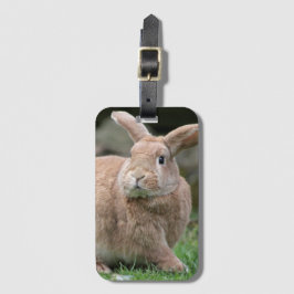 Stomme ginger bunny met grote oren bagagelabel