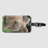 Stomme ginger bunny met grote oren bagagelabel (Voorkant (horizontaal))