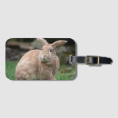 Stomme ginger bunny met grote oren bagagelabel (Voorkant (horizontaal))