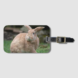 Stomme ginger bunny met grote oren bagagelabel