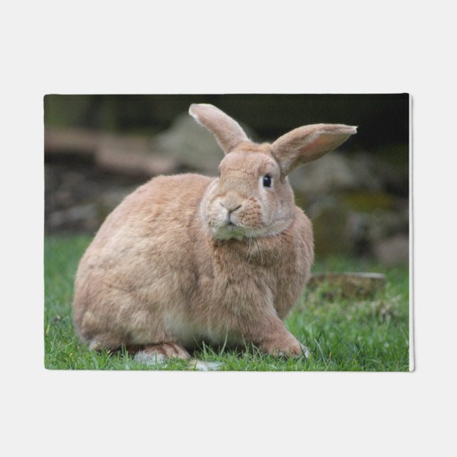 Stomme ginger bunny met grote oren deurmat (Voorkant)
