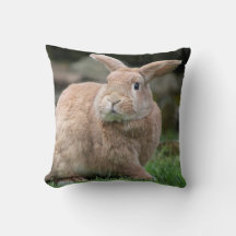 Stomme ginger bunny met grote oren