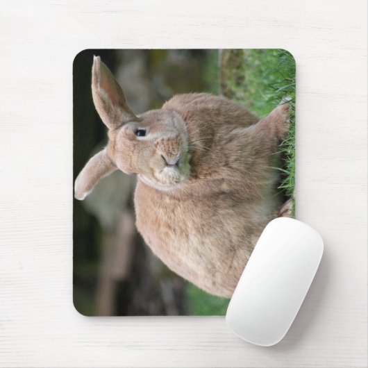 Stomme ginger bunny met grote oren muismat (Met muis)