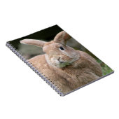 Stomme ginger bunny met grote oren notitieboek (Rechterzijde)