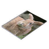 Stomme ginger bunny met grote oren notitieboek (Linkerzijde)
