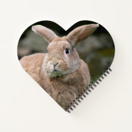 Stomme ginger bunny met grote oren notitieboek