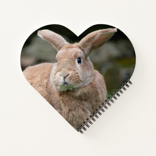 Stomme ginger bunny met grote oren notitieboek (Achterkant)