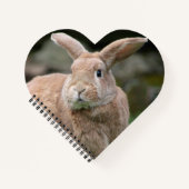 Stomme ginger bunny met grote oren notitieboek (Voorkant)