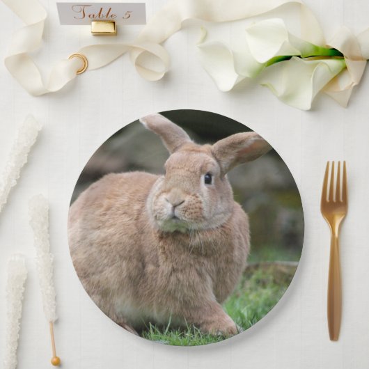 Stomme ginger bunny met grote oren papieren bordje (Huwelijk)