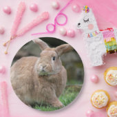 Stomme ginger bunny met grote oren papieren bordje (Feest)
