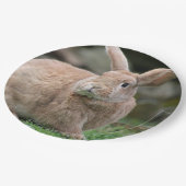 Stomme ginger bunny met grote oren papieren bordje (Gekanteld)